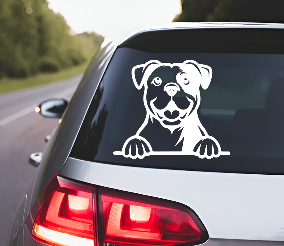 American Bulldog