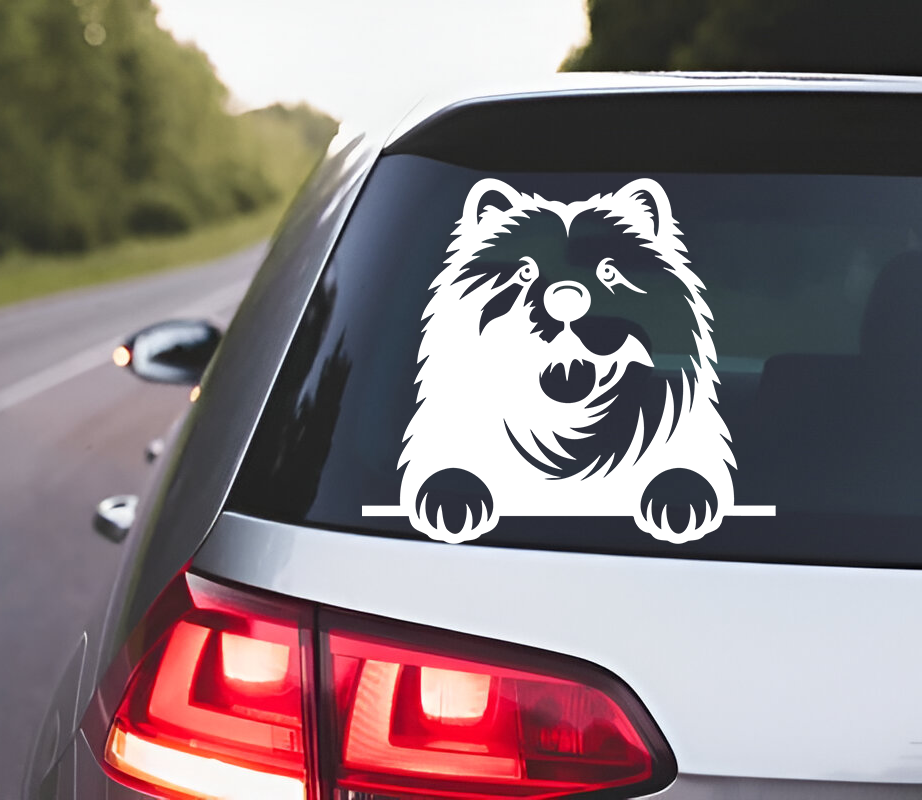 Chow Chow