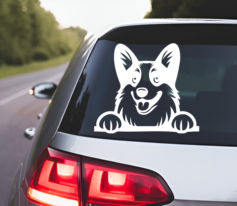 Corgi