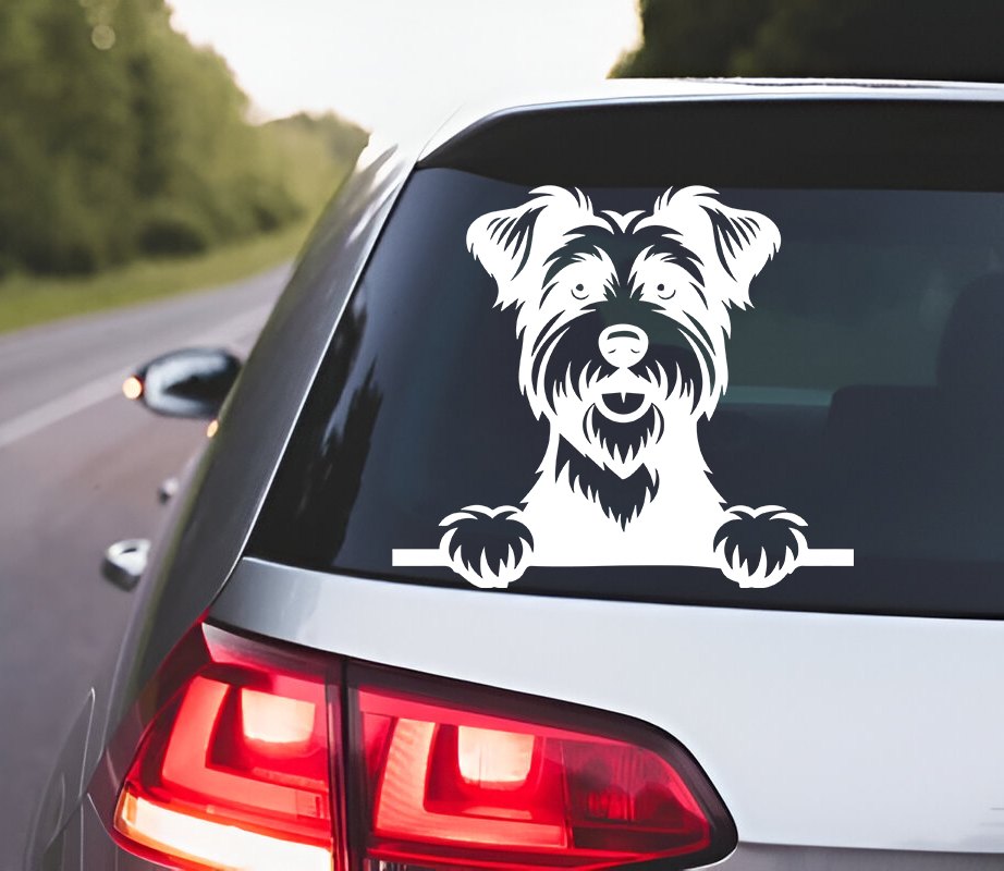 Australian Terrier