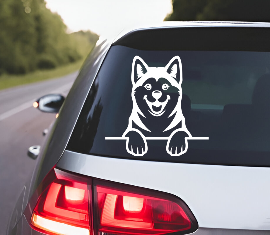 Akita