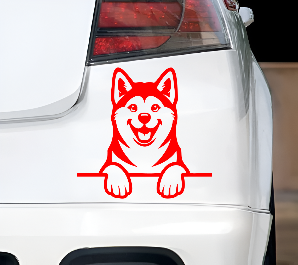 Akita