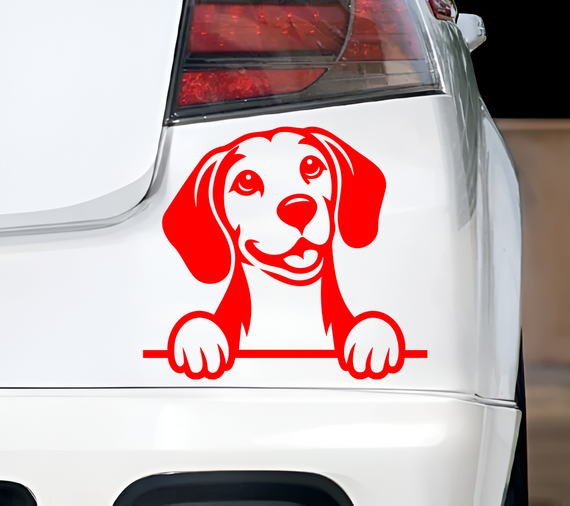 Beagle