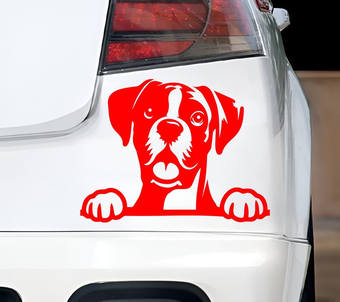 Boxer