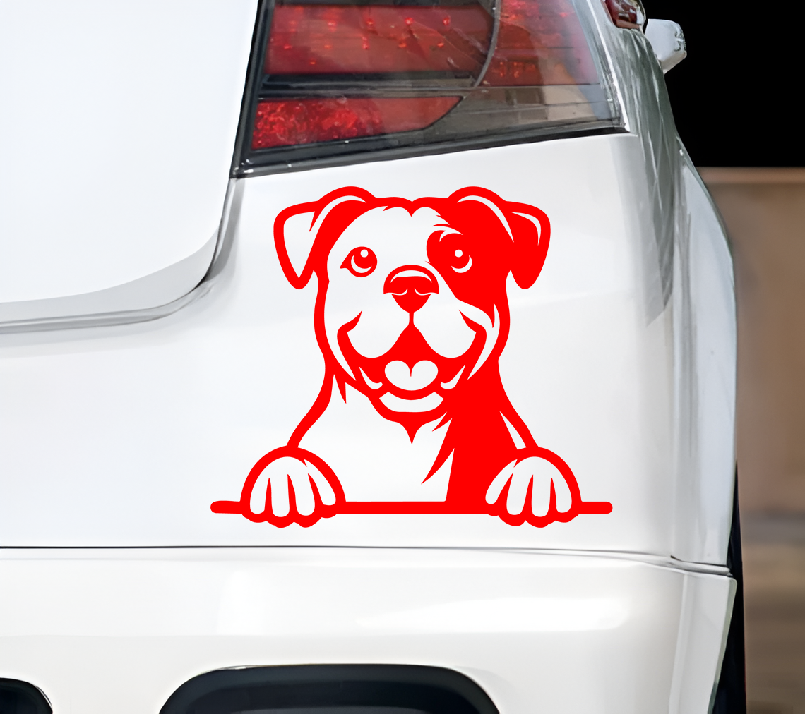American Bulldog