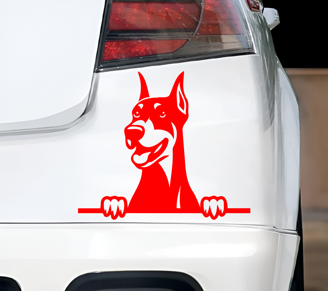 Doberman