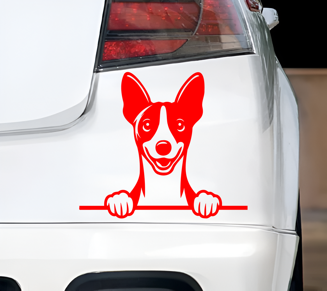 Basenji