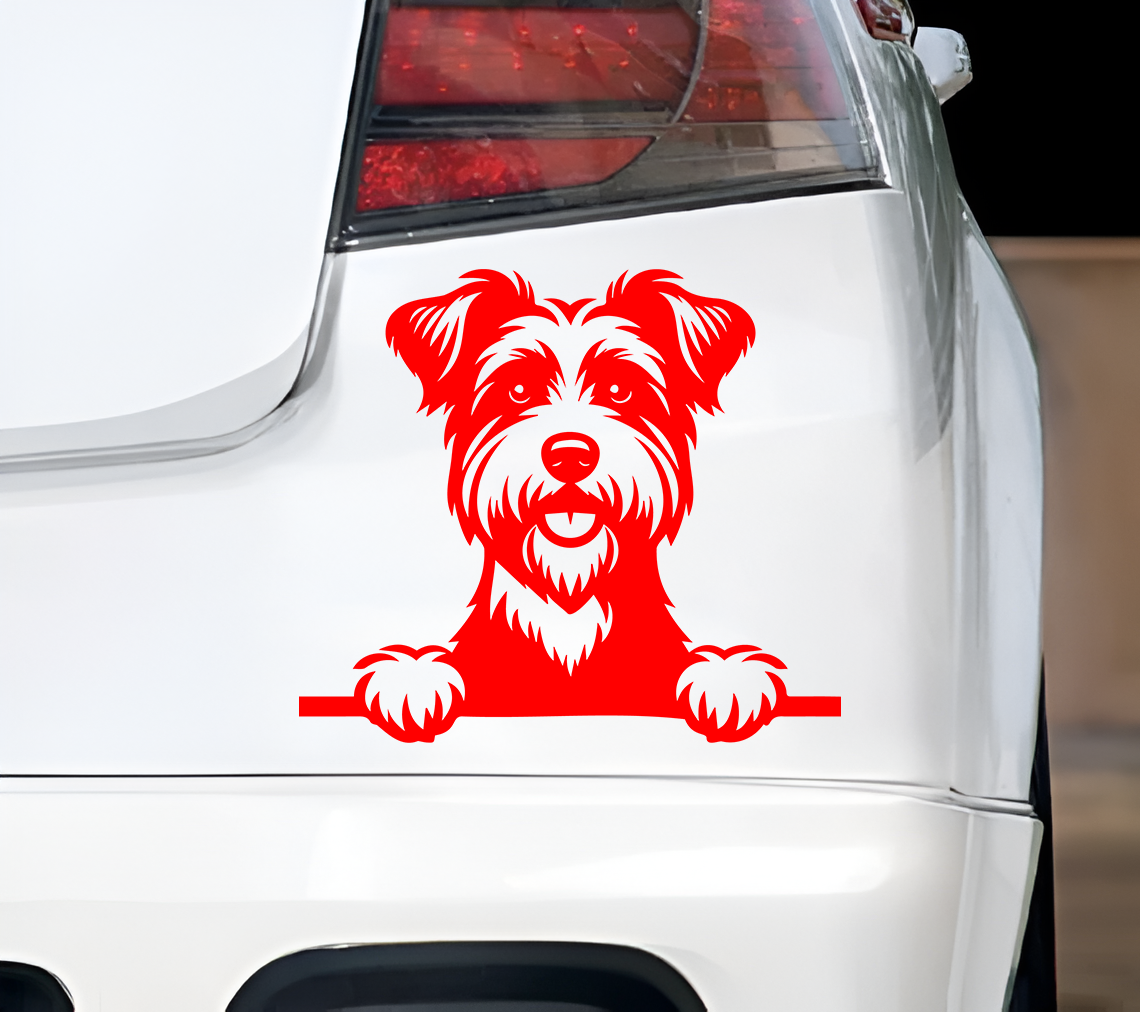 Australian Terrier