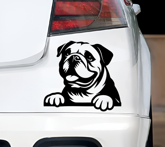 Bulldog